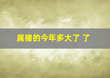 属猪的今年多大了 了